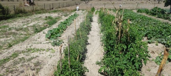 Casa T1 em Torrão, Portugal N.º 61500 28