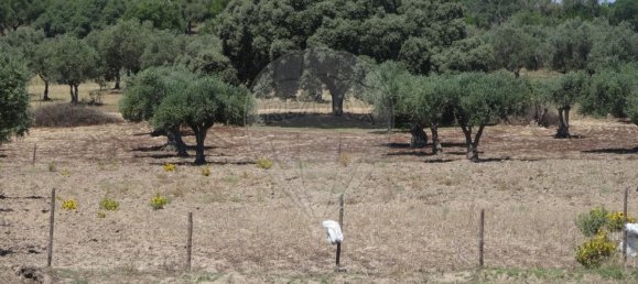 Casa T1 em Torrão, Portugal N.º 61500 32