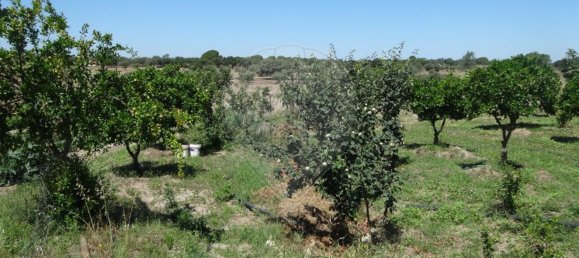 Casa T1 em Torrão, Portugal N.º 61500 26