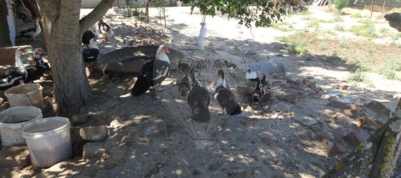 Casa T1 em Torrão, Portugal N.º 61500 11