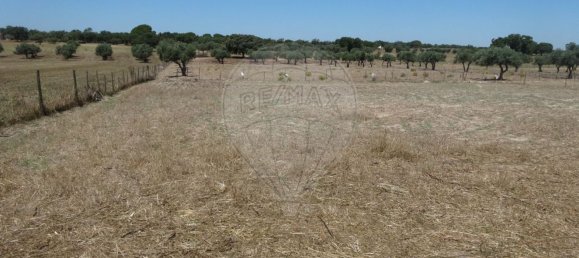 Casa T1 em Torrão, Portugal N.º 61500 29