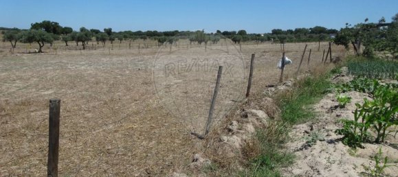 Casa T1 em Torrão, Portugal N.º 61500 30