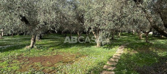 3 غرف نوم فيلا في Velletri, Italy رقم 10005 16