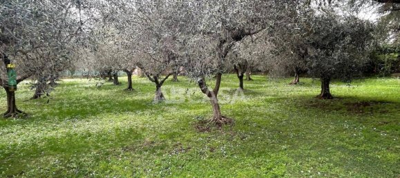 3 غرف نوم فيلا في Velletri, Italy رقم 10005 21