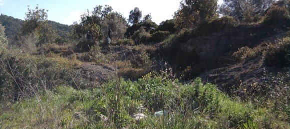  Land in Son Servera, Spain No. 162258 4