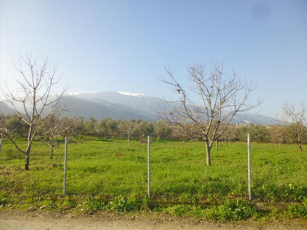 10000 m² hotel en venta en Dion, Dion-Olympos, Pieria, Central Macedonia, Macedonia and Thrace, Greece № 7487