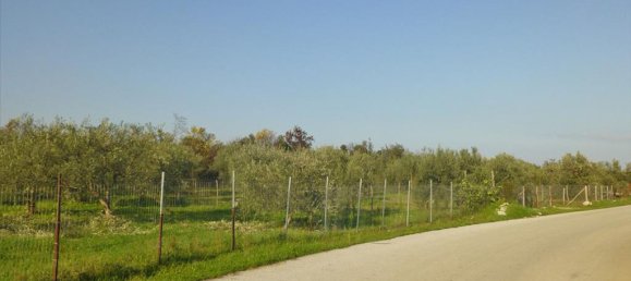 فندق في Dion, Greece 10000متر مربع رقم 7487 2