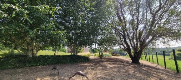 3 bedrooms House in Coussac-Bonneval, France No. 342333 6