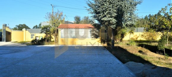 10 bedrooms Villa in Palmela, Portugal No. 124720 24