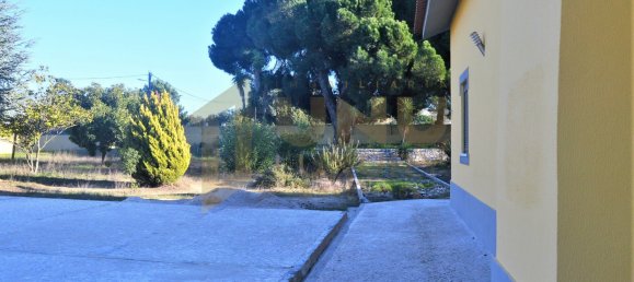 10 bedrooms Villa in Palmela, Portugal No. 124720 7