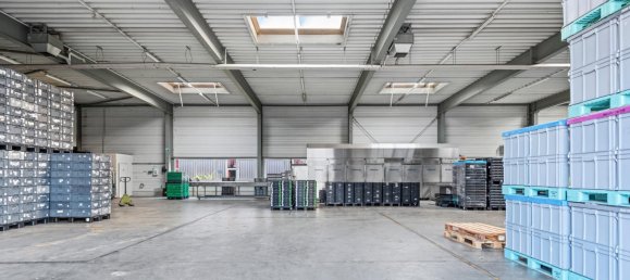 Büro in Langenzersdorf, Austria 235m², Nr. 238071 12