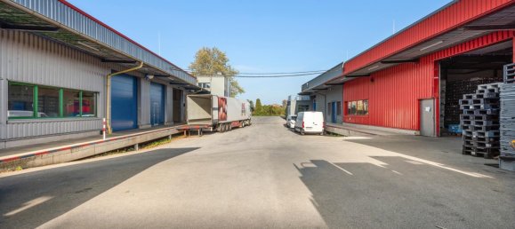 Büro in Langenzersdorf, Austria 235m², Nr. 238071 2
