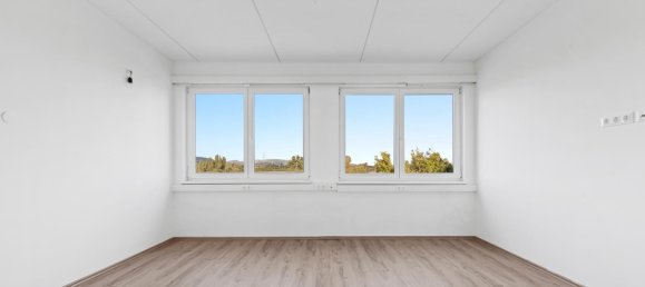 Büro in Langenzersdorf, Austria 235m², Nr. 238071 7