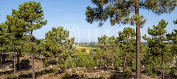 3722m² Land in Grandola, Portugal No. 117844 22