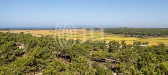 3722m² Land in Grandola, Portugal No. 117844 25