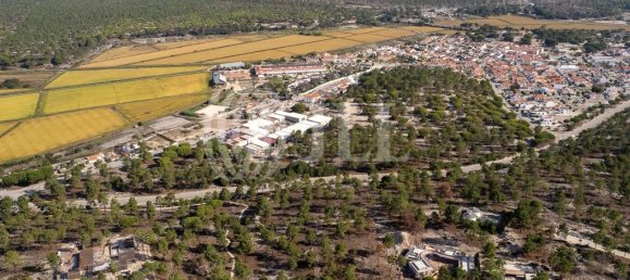 3722m² Land in Grandola, Portugal No. 117844 4