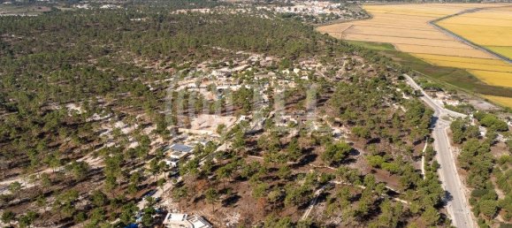 3722m² Land in Grandola, Portugal No. 117844 8