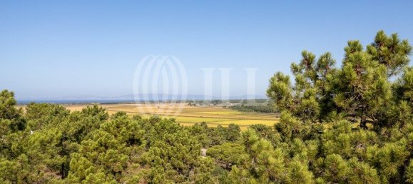 3722m² Land in Grandola, Portugal No. 117844 24