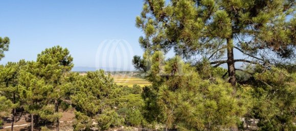 3722m² Land in Grandola, Portugal No. 117844 23