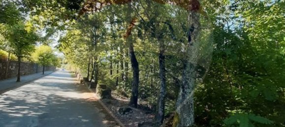 8994m² Land in Sabariz, Portugal No. 34144 7