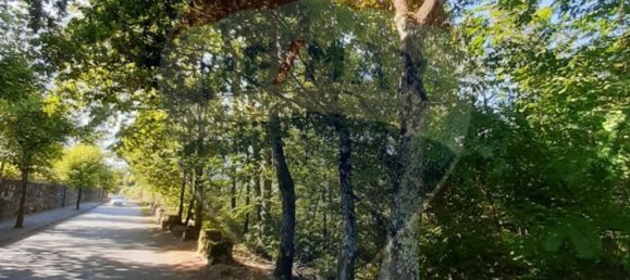 8994m² Land in Sabariz, Portugal No. 34144 6