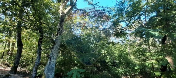 8994m² Land in Sabariz, Portugal No. 34144 5