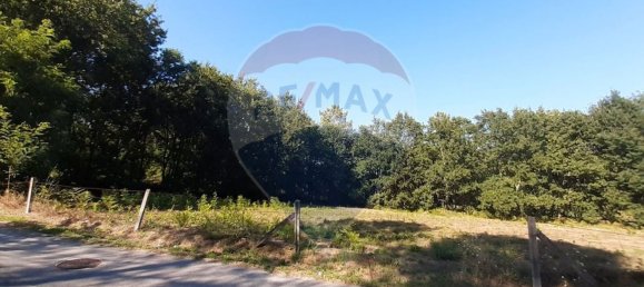 8994m² Land in Sabariz, Portugal No. 34144 10