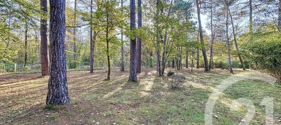 Casa de 4 dormitorios en Yvoy-le-Marron, France No. 221007 14