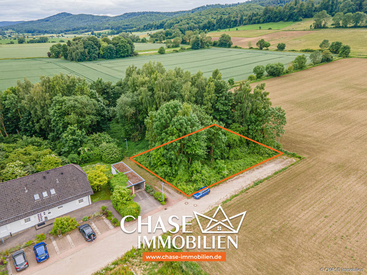 Земельный участок в Хамельн-Пирмонт, Германия № 259385