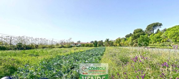 10 rooms House in Giarre, Italy No. 166938 30