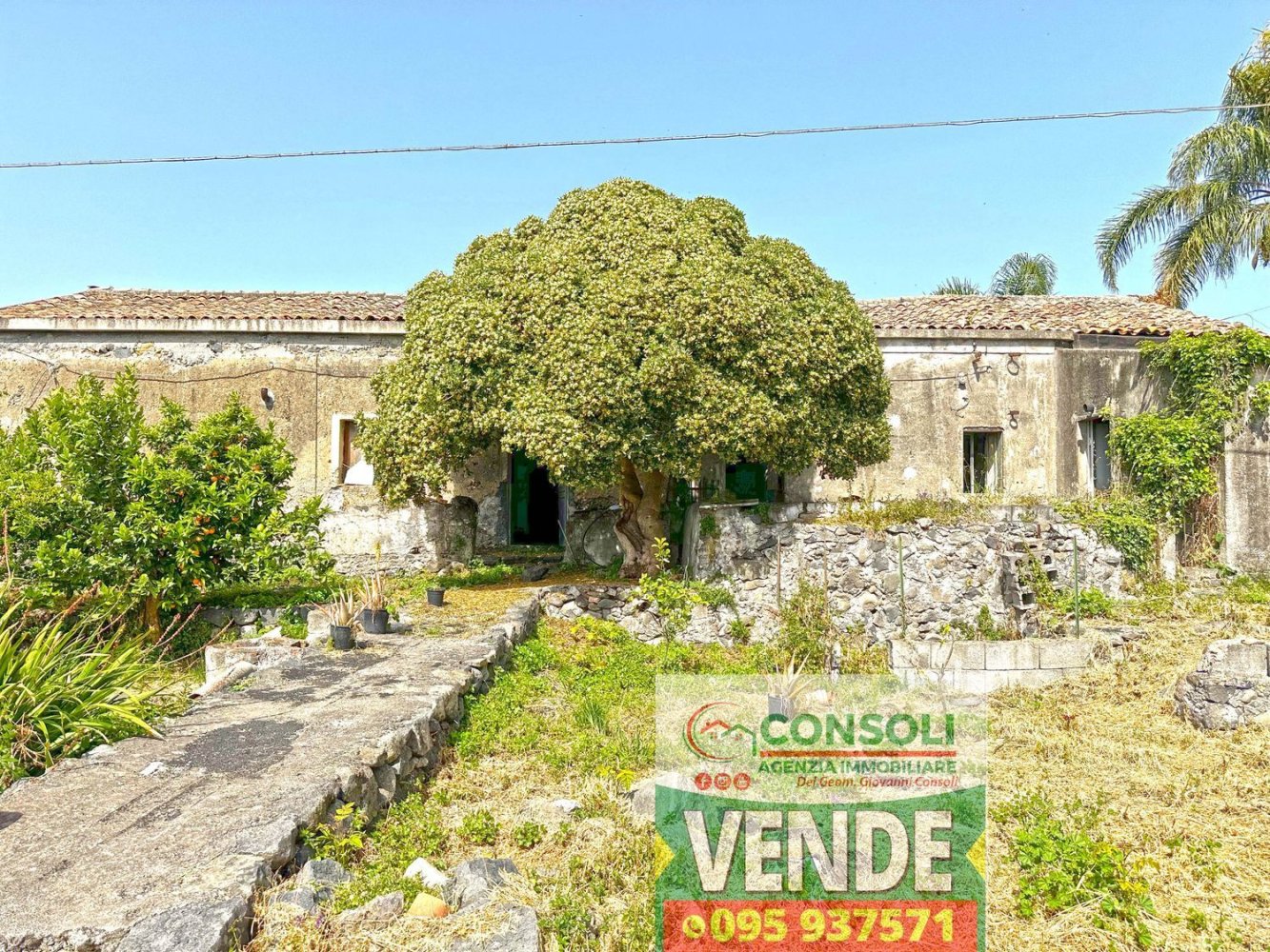 10 rooms House in Giarre, Italy No. 166938