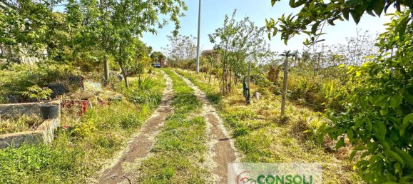 10 rooms House in Giarre, Italy No. 166938 28