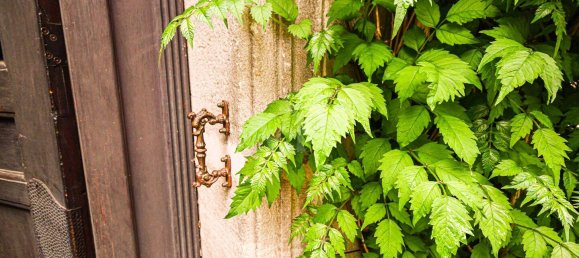 3 bedrooms Apartment in Furth, Germany No. 16671 22