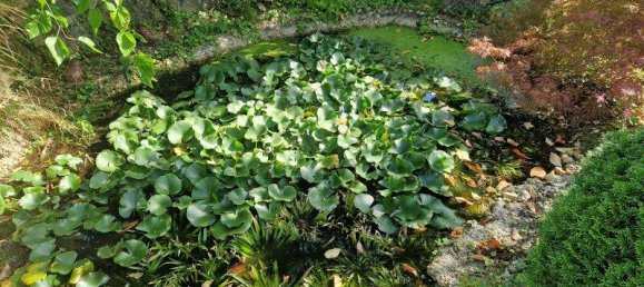 5-salle Maison à Eisenstadt, Austria No. 241253 27