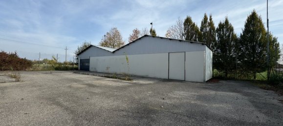 Gewerbliche Immobilie in Pasching, Austria 744m², Nr. 129371 5