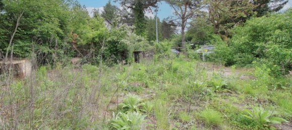 Terrain à Muggelheim, Germany No. 365399 14