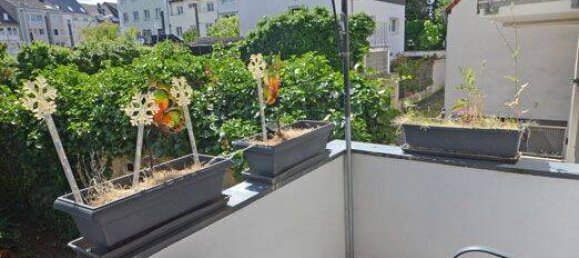 3 rooms Apartment in Cologne, Germany No. 304850 7