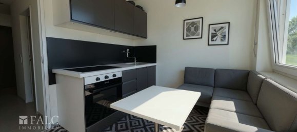 Estudio en Nuremberg, Germany No. 237683 4