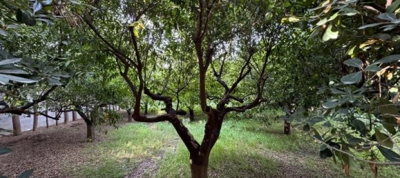 5-Zimmer Haus in Monteroni di Lecce, Italy, Nr. 230618 9