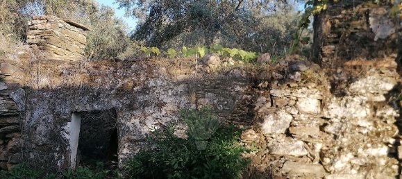 1 bedroom House in Alegrete, Portugal No. 28302 9