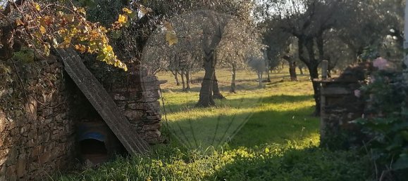 1 bedroom House in Alegrete, Portugal No. 28302 7