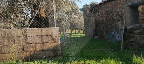 1 bedroom House in Alegrete, Portugal No. 28302 8