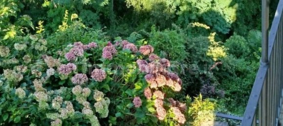 2 chambres Maison à Castione Andevenno, Italy No. 292648 6