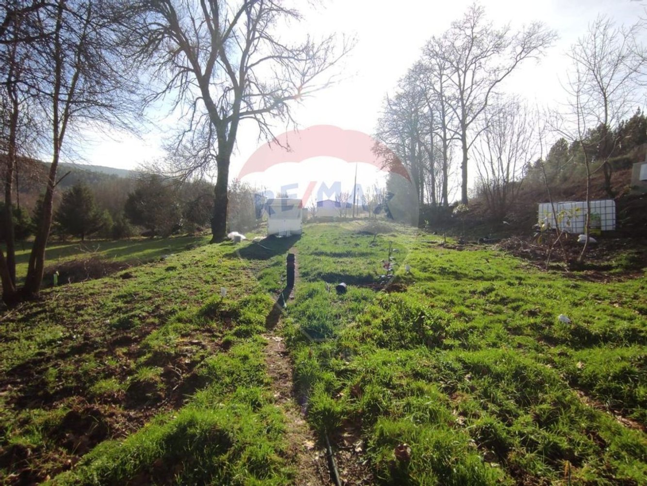 Terreno em Cortes do Meio, Portugal 2500 m² N.º 67982