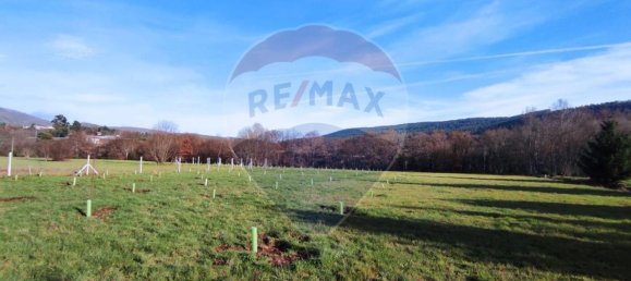 Terreno em Cortes do Meio, Portugal 2500 m² N.º 67982 6