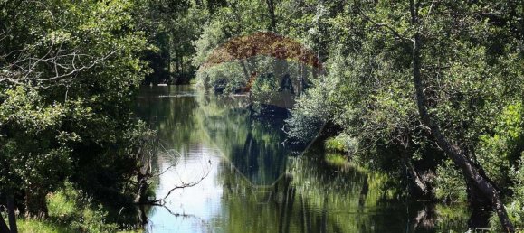 Terreno em Cortes do Meio, Portugal 2500 m² N.º 67982 10