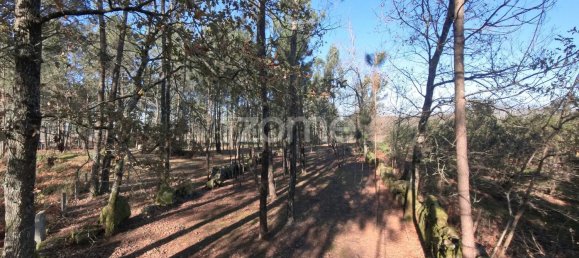 13300m² Land in Barreiros, Portugal No. 51026 11