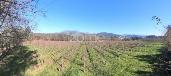 13300m² Land in Barreiros, Portugal No. 51026 16