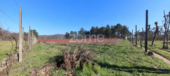 13300m² Land in Barreiros, Portugal No. 51026 2