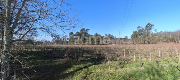 13300m² Land in Barreiros, Portugal No. 51026 14